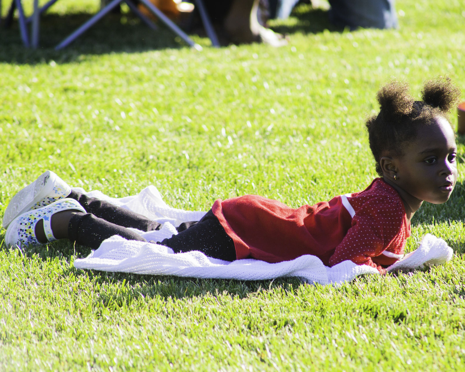 Features: Penn's Woods Music Festival